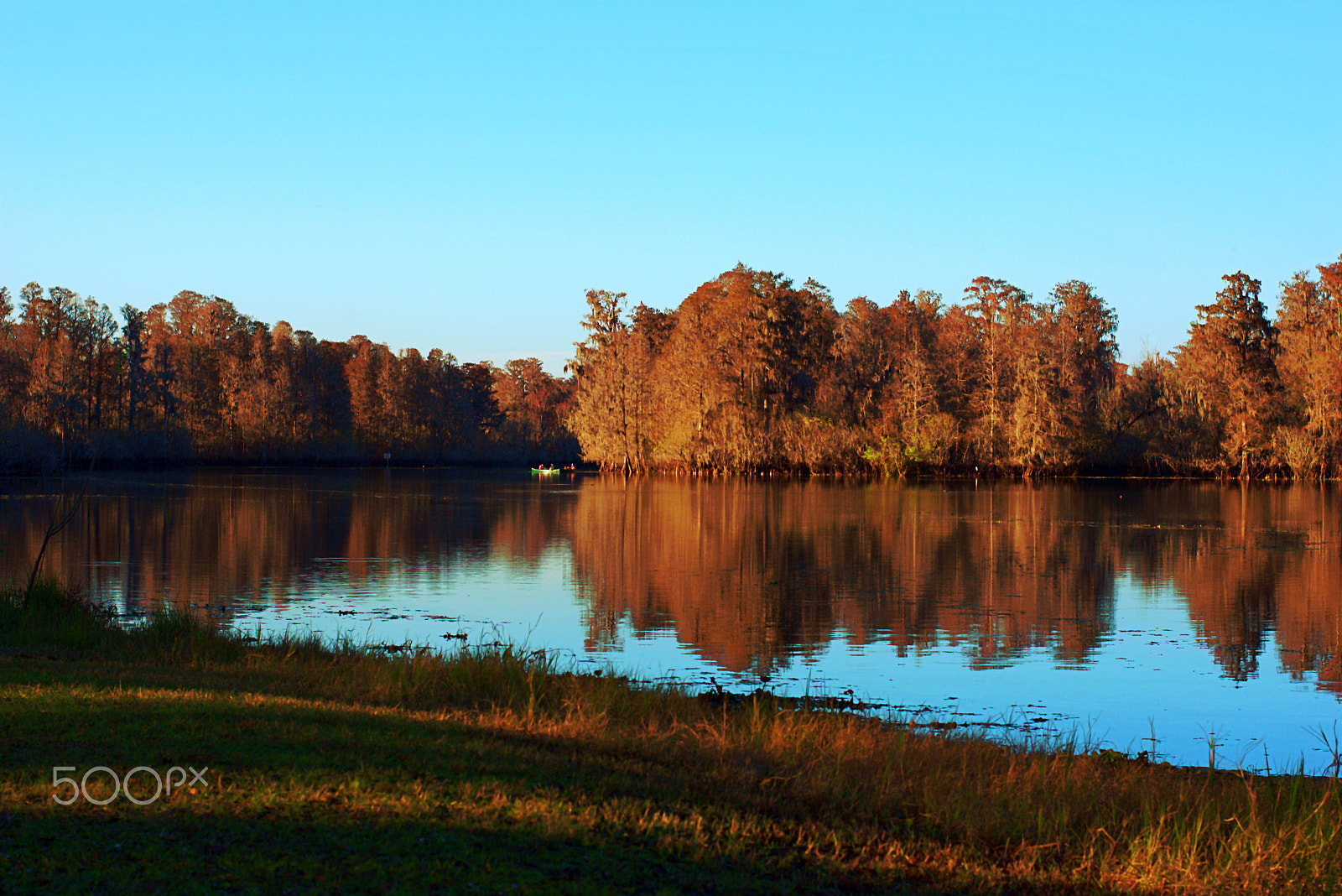 Nikon D3400 + Nikon AF-S Nikkor 50mm F1.8G sample photo. Dsc photography