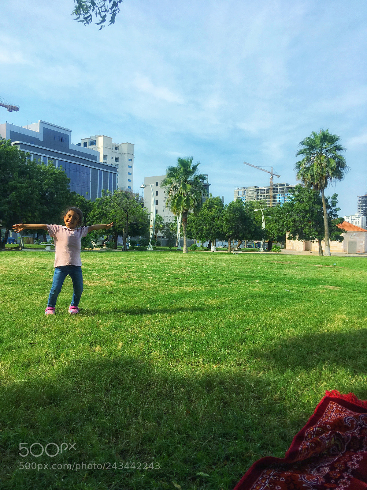 Apple iPhone 6s Plus sample photo. Untitled photography