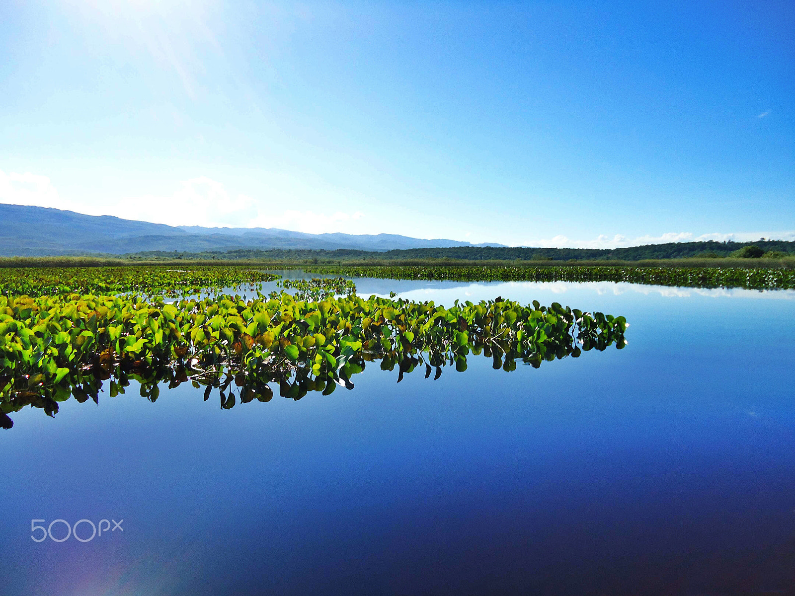 Sony Cyber-shot DSC-W320 sample photo. Pantanal dos marimbus, chapada diamantina photography