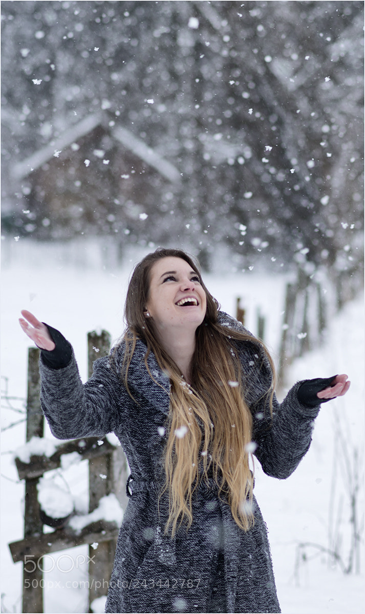 Nikon D800 sample photo. Let it snow ... photography