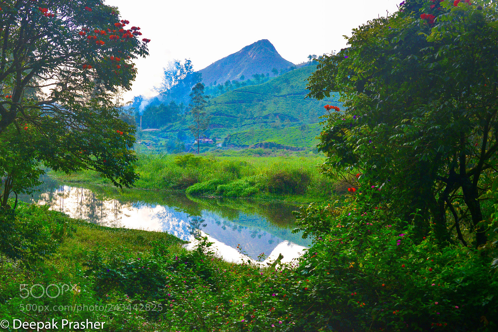 Nikon D800 sample photo. Peaks photography
