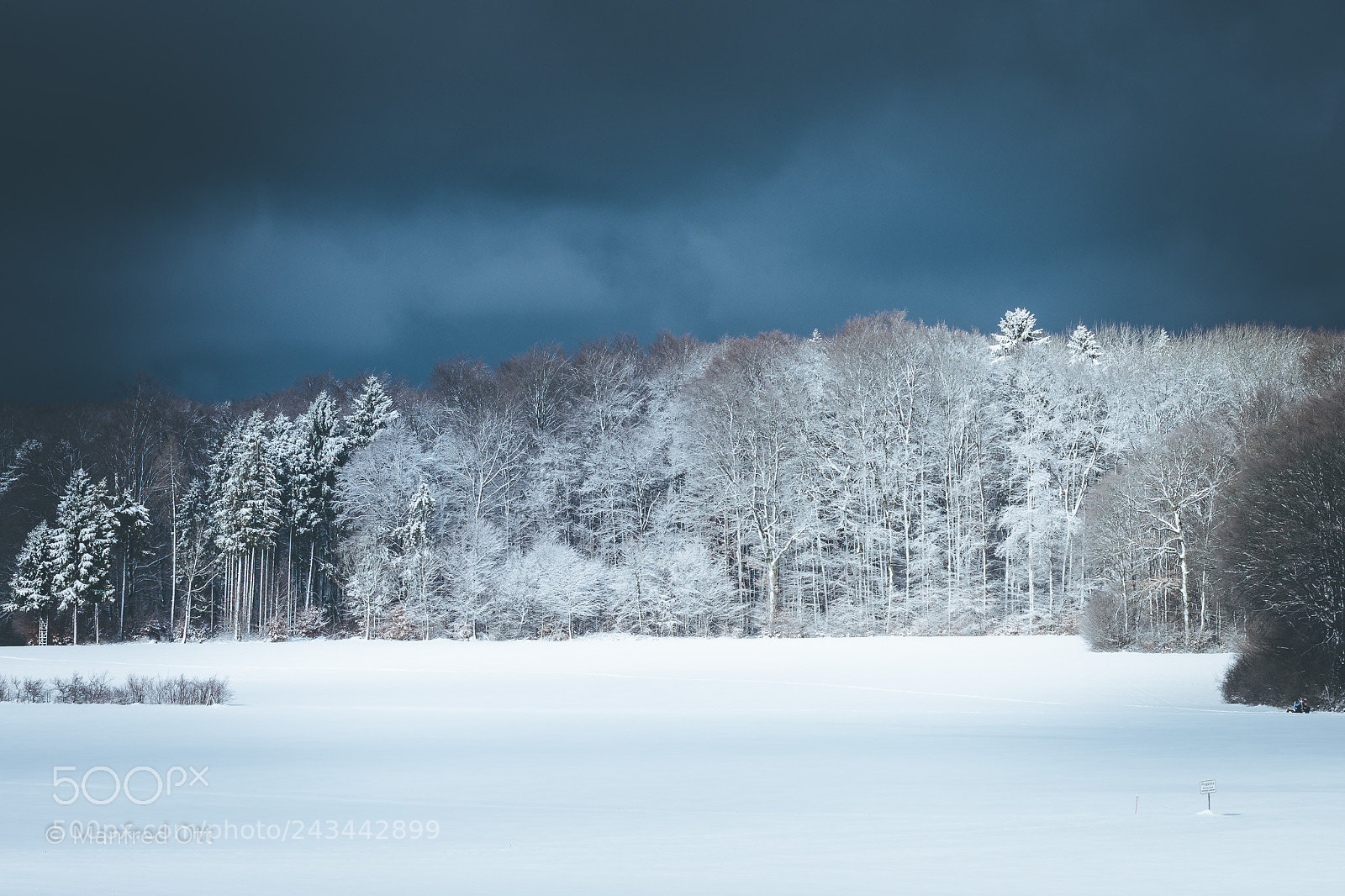 Nikon D7200 sample photo. Winterlicht photography