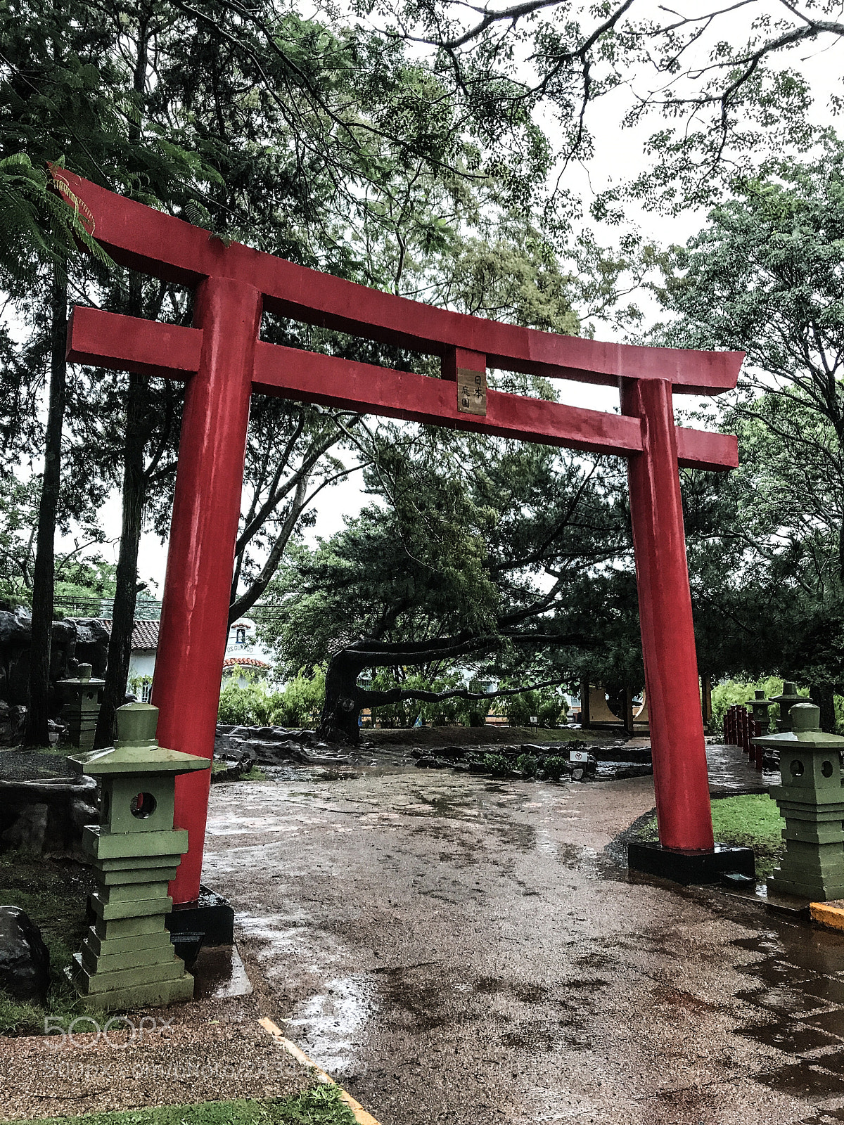 Apple iPhone 7 Plus sample photo. Torii photography