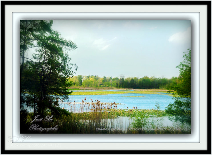 Nikon D70 sample photo. Tetterville mill pond photography