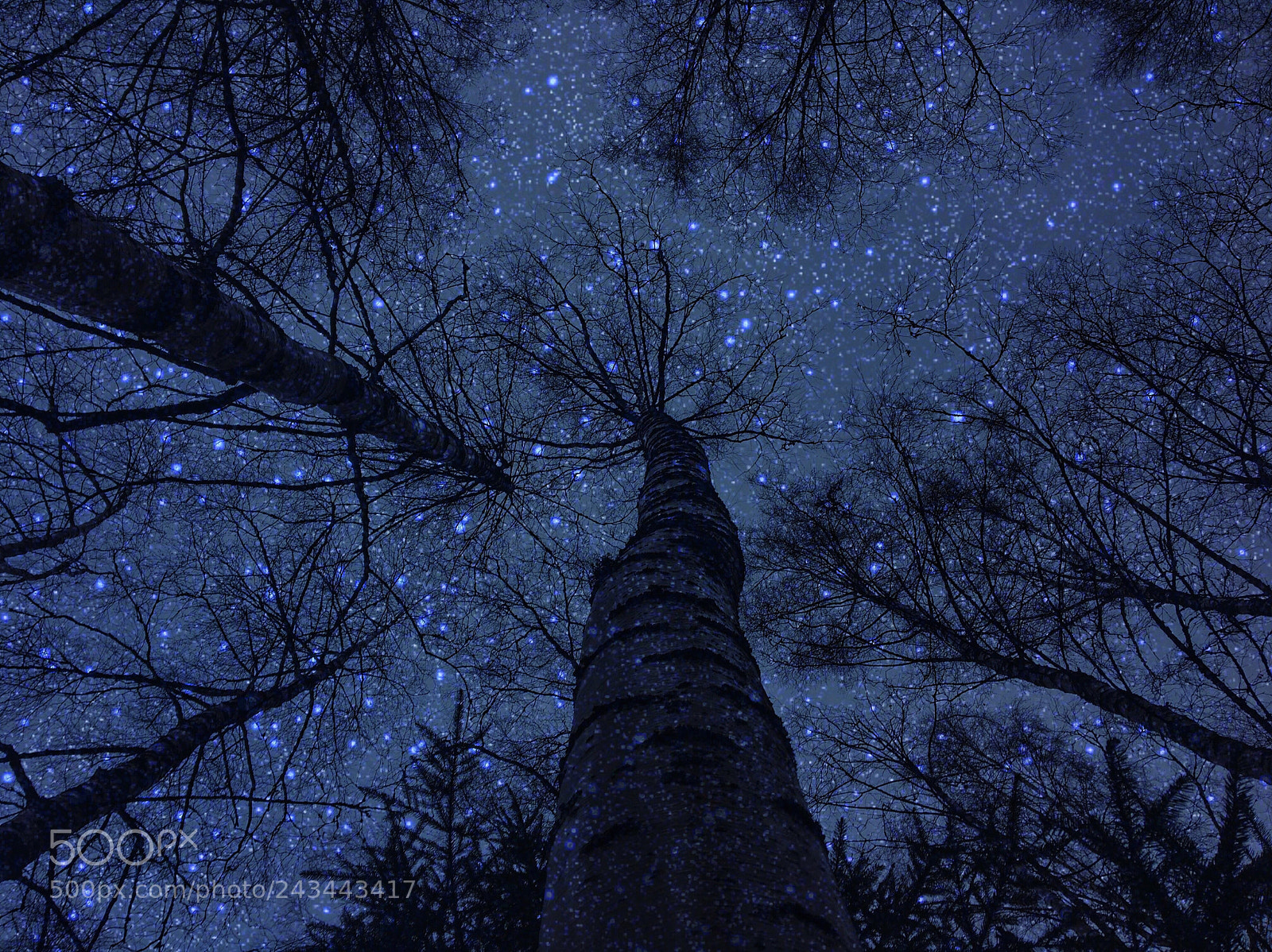 Apple iPhone 6s sample photo. Starry night photography