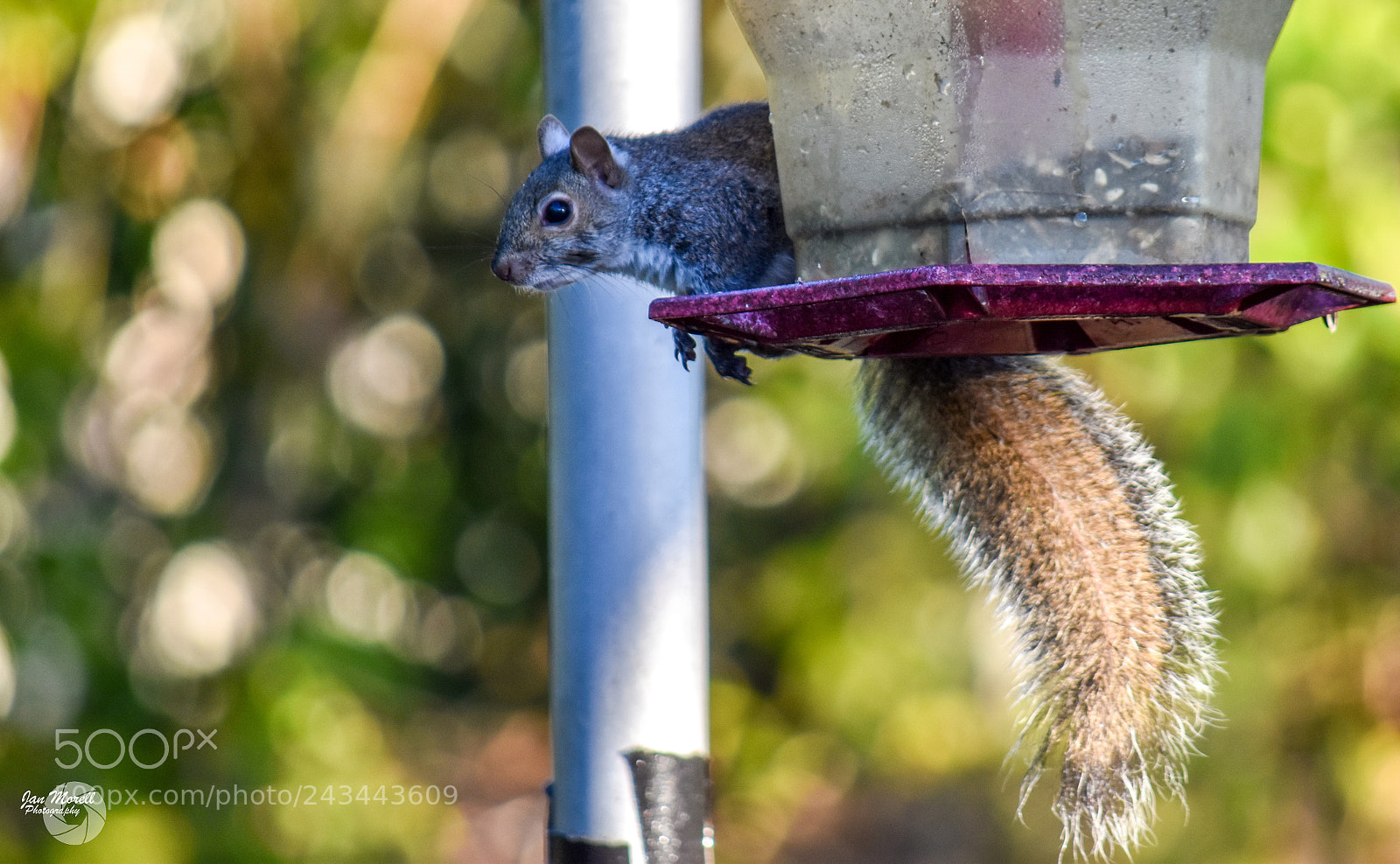 Nikon D5500 sample photo. For me photography