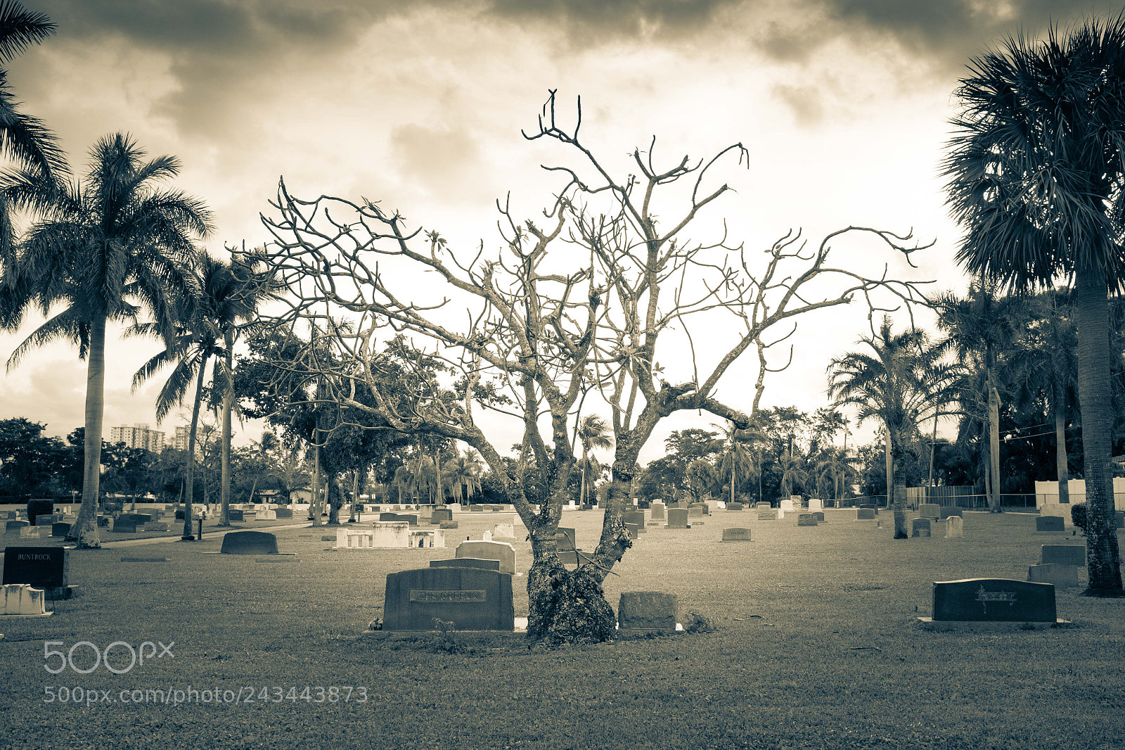 Fujifilm X100T sample photo. Project photography