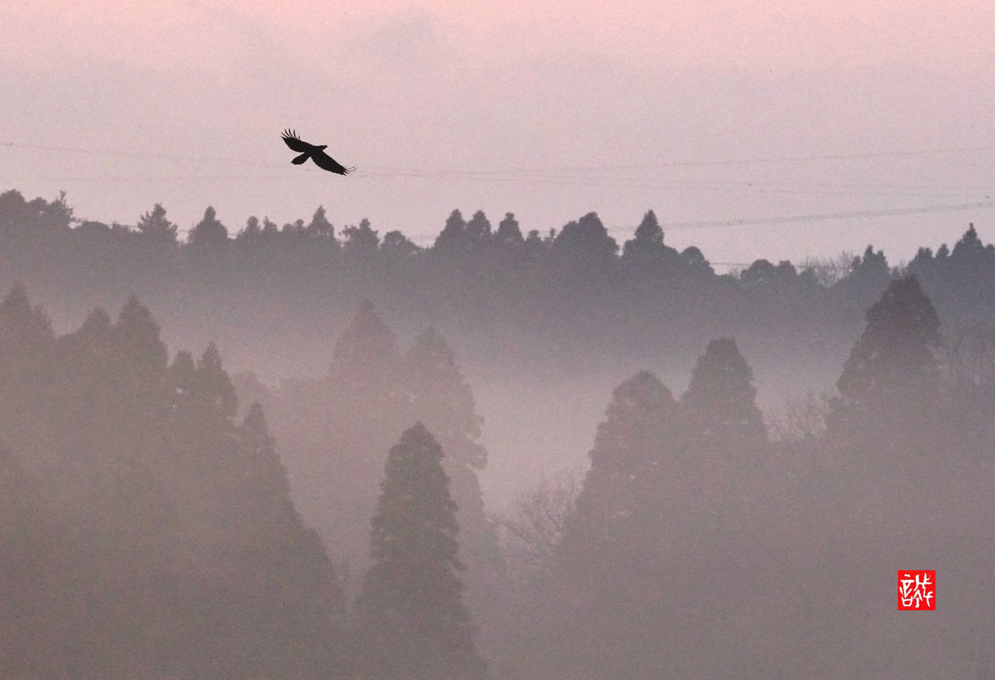 Sony FE 70-300mm F4.5-5.6 G OSS sample photo. Morning 0121 photography