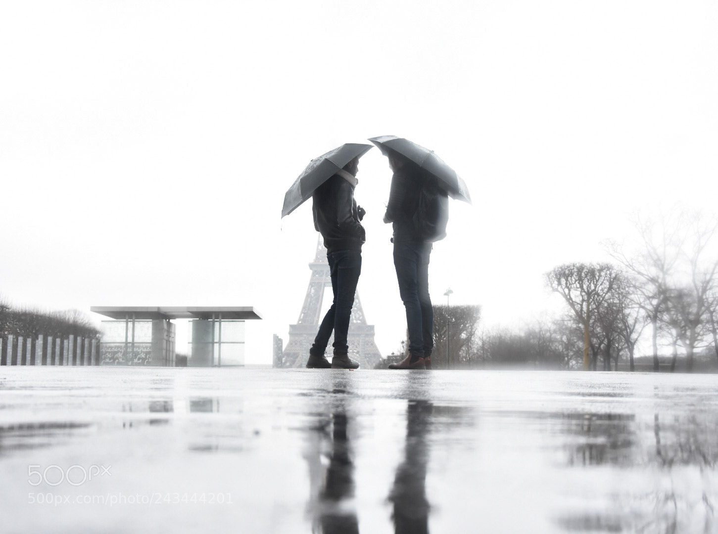 Nikon D7200 sample photo. Fog in paris photography