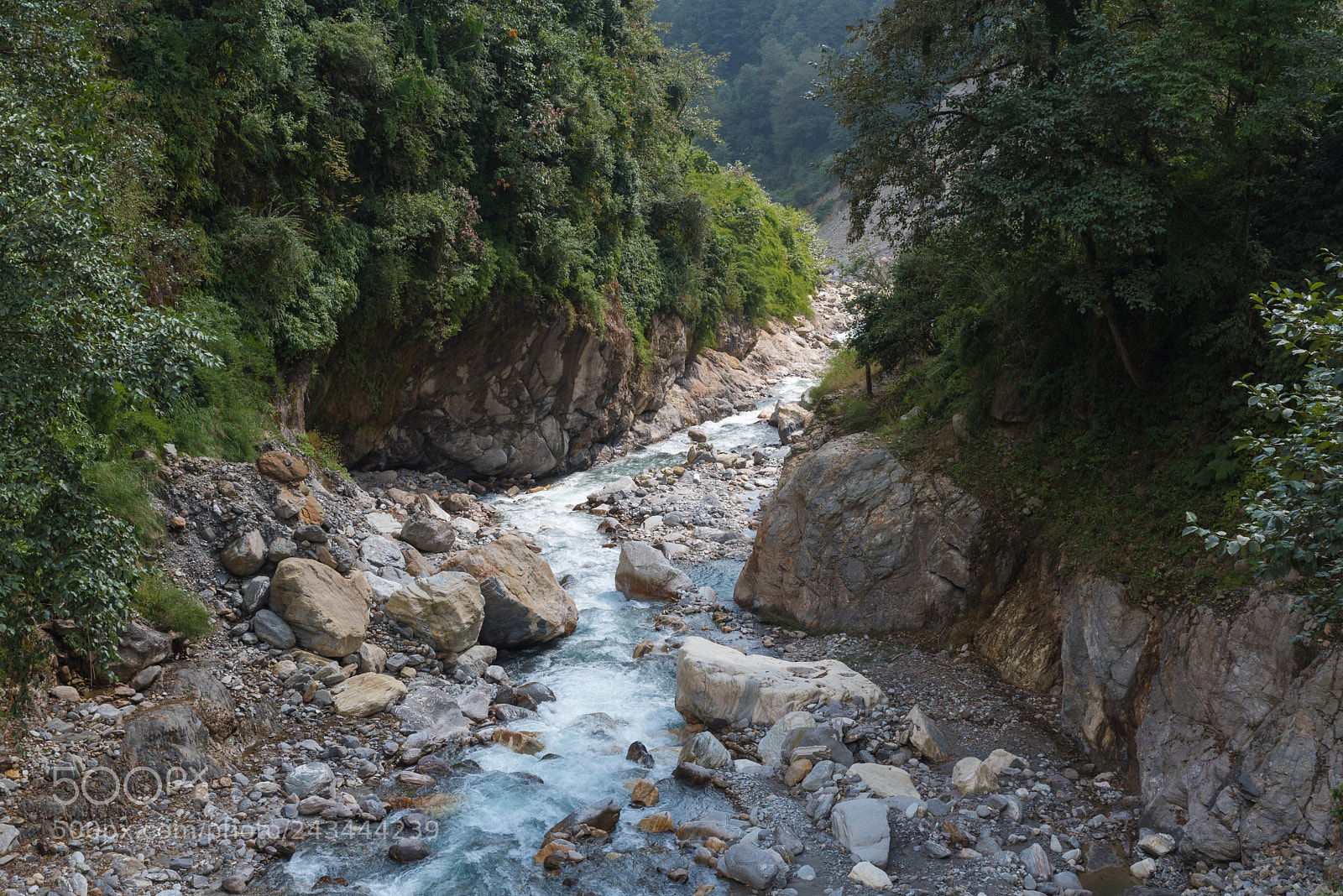 Nikon D750 sample photo. River through valley photography