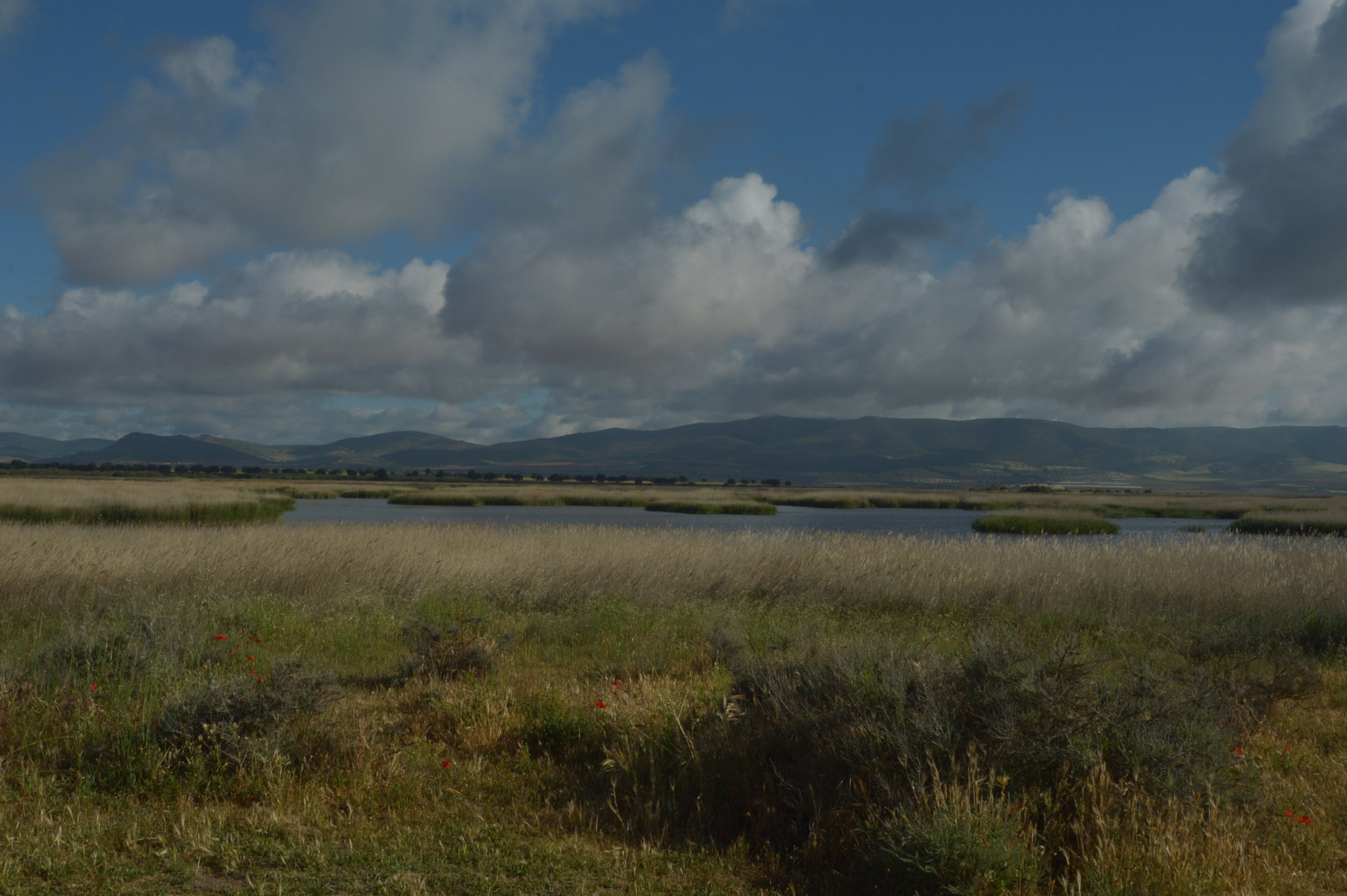 Nikon D3200 sample photo. Laguna photography