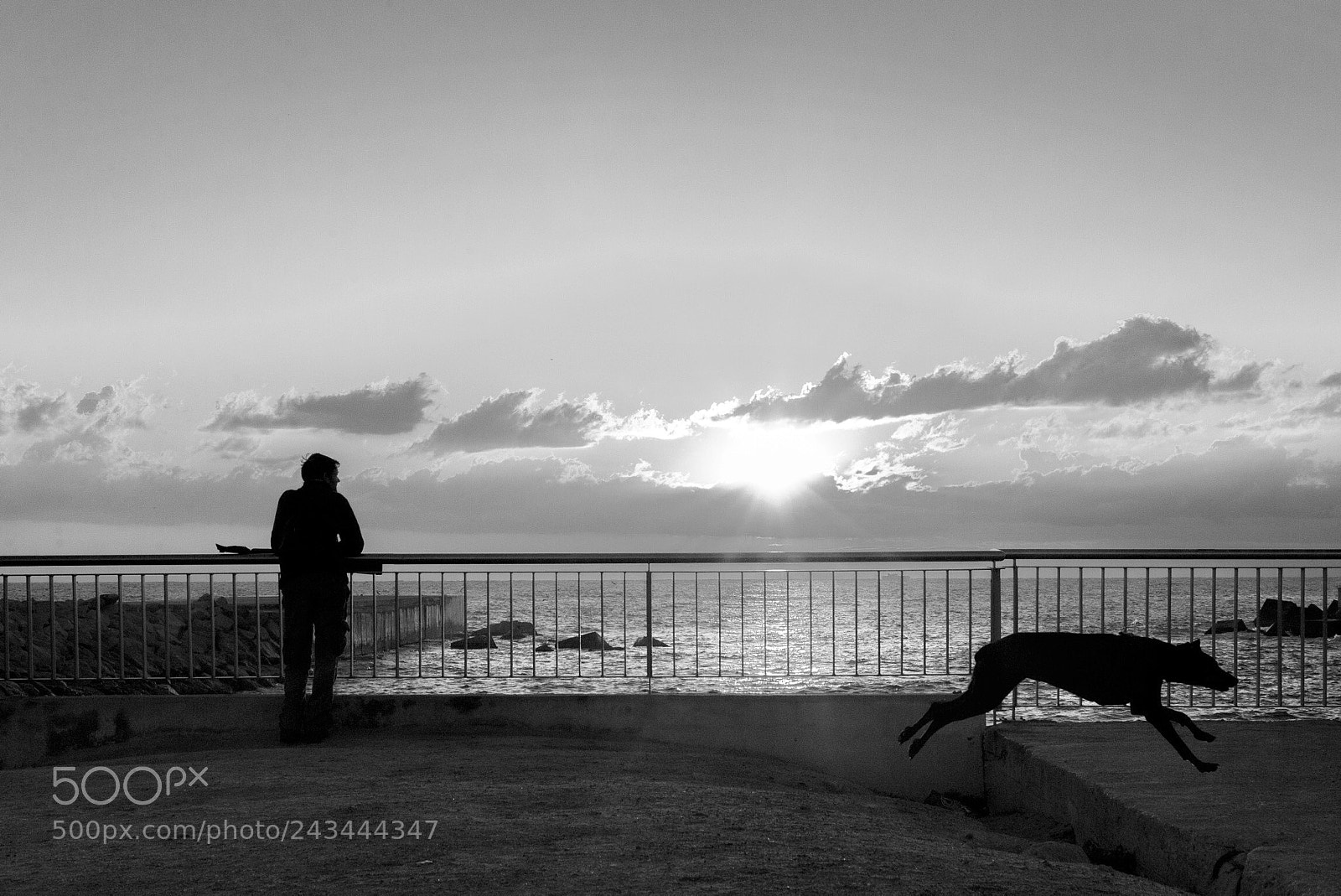 Nikon D610 sample photo. Sunrise photography