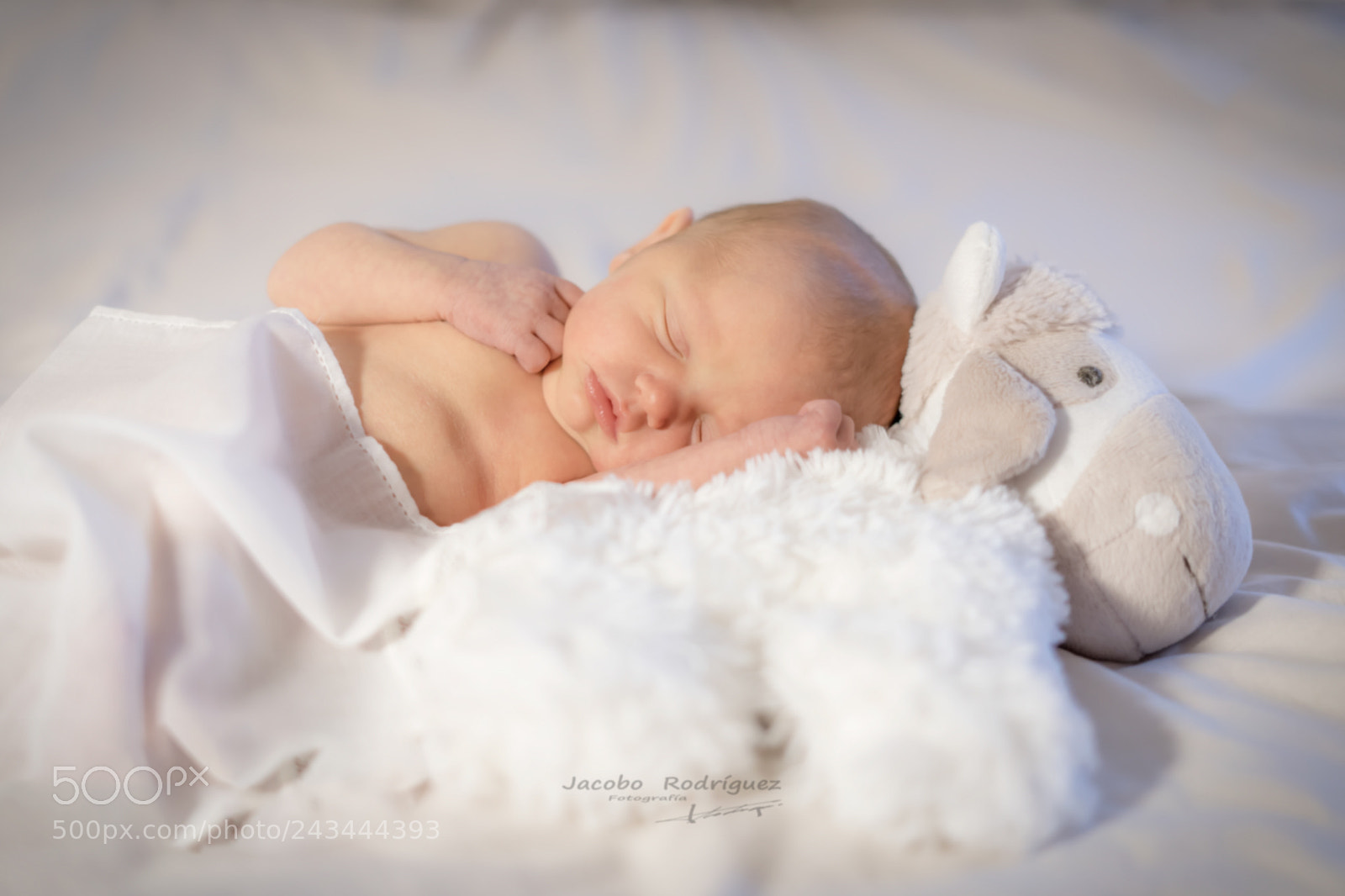 Sony a7 II sample photo. Sweet nora photography
