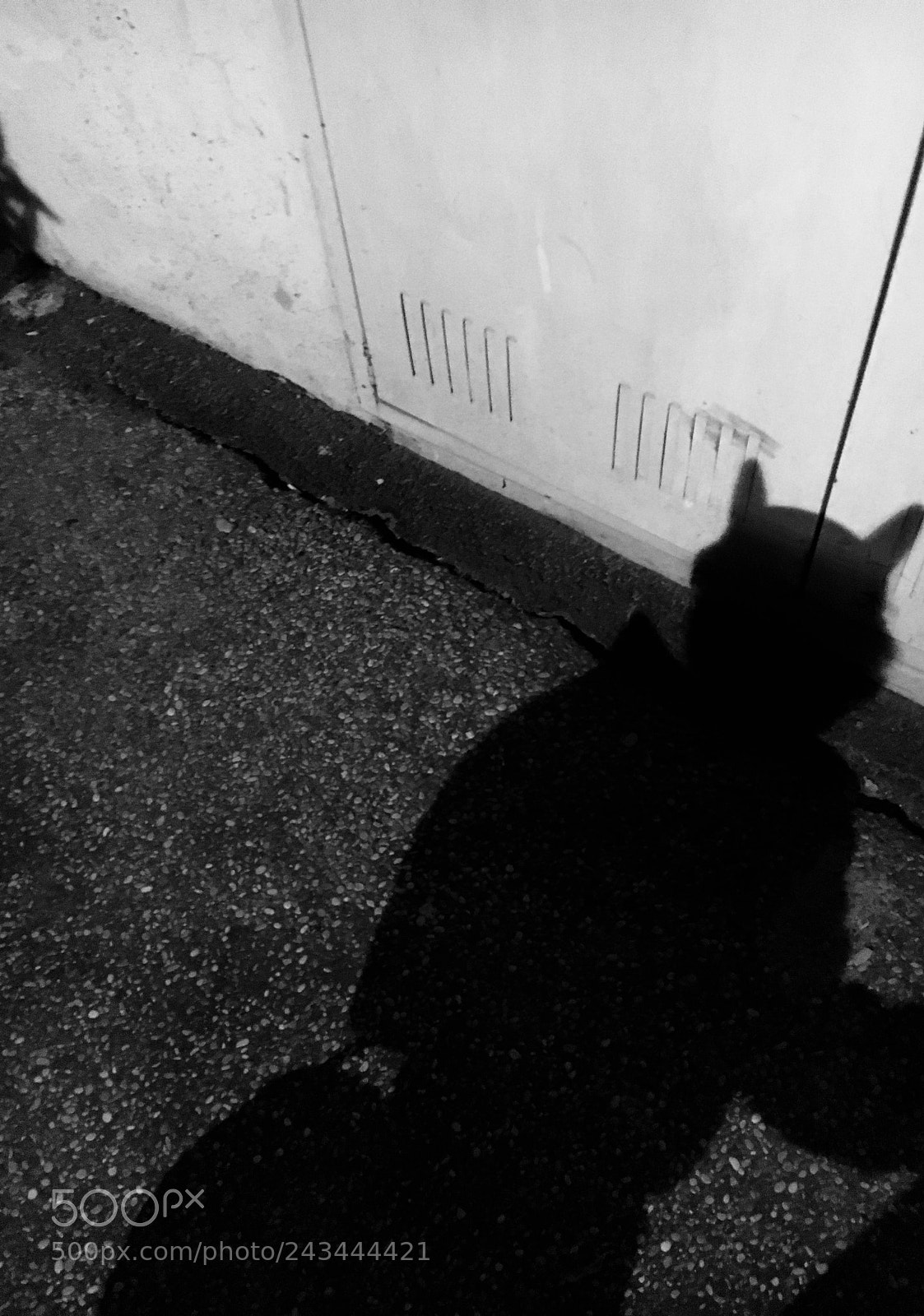Apple iPhone 6s sample photo. “beware baby batman” photography