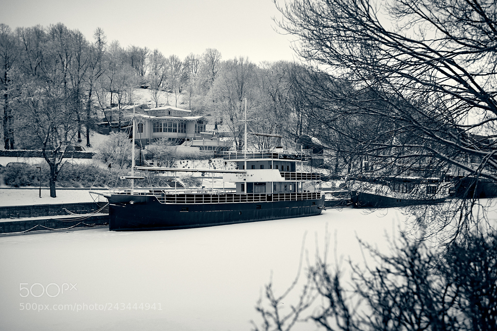 Nikon D850 sample photo. Winter sleep photography