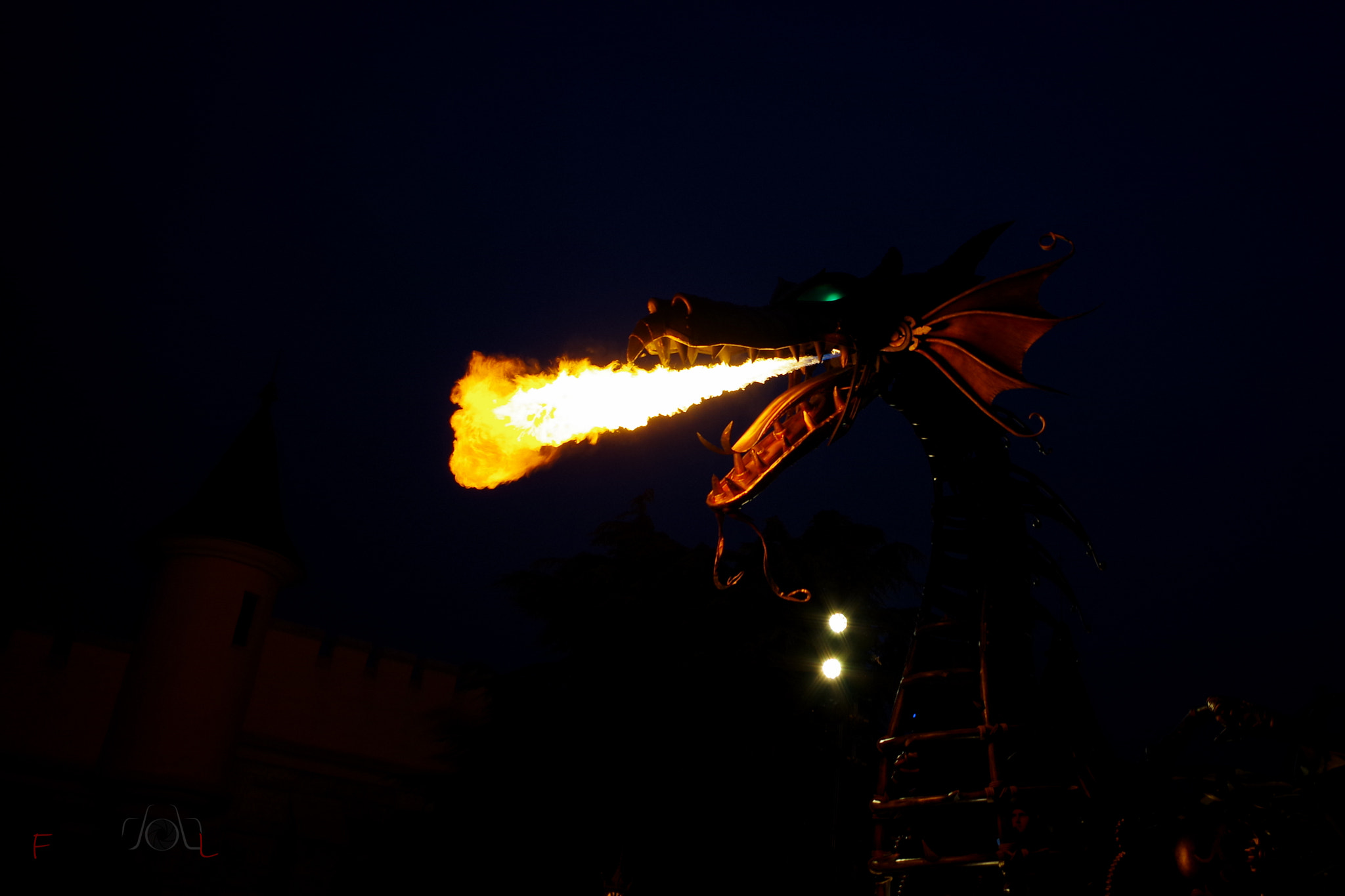 Pentax K-S1 sample photo. I see fire photography