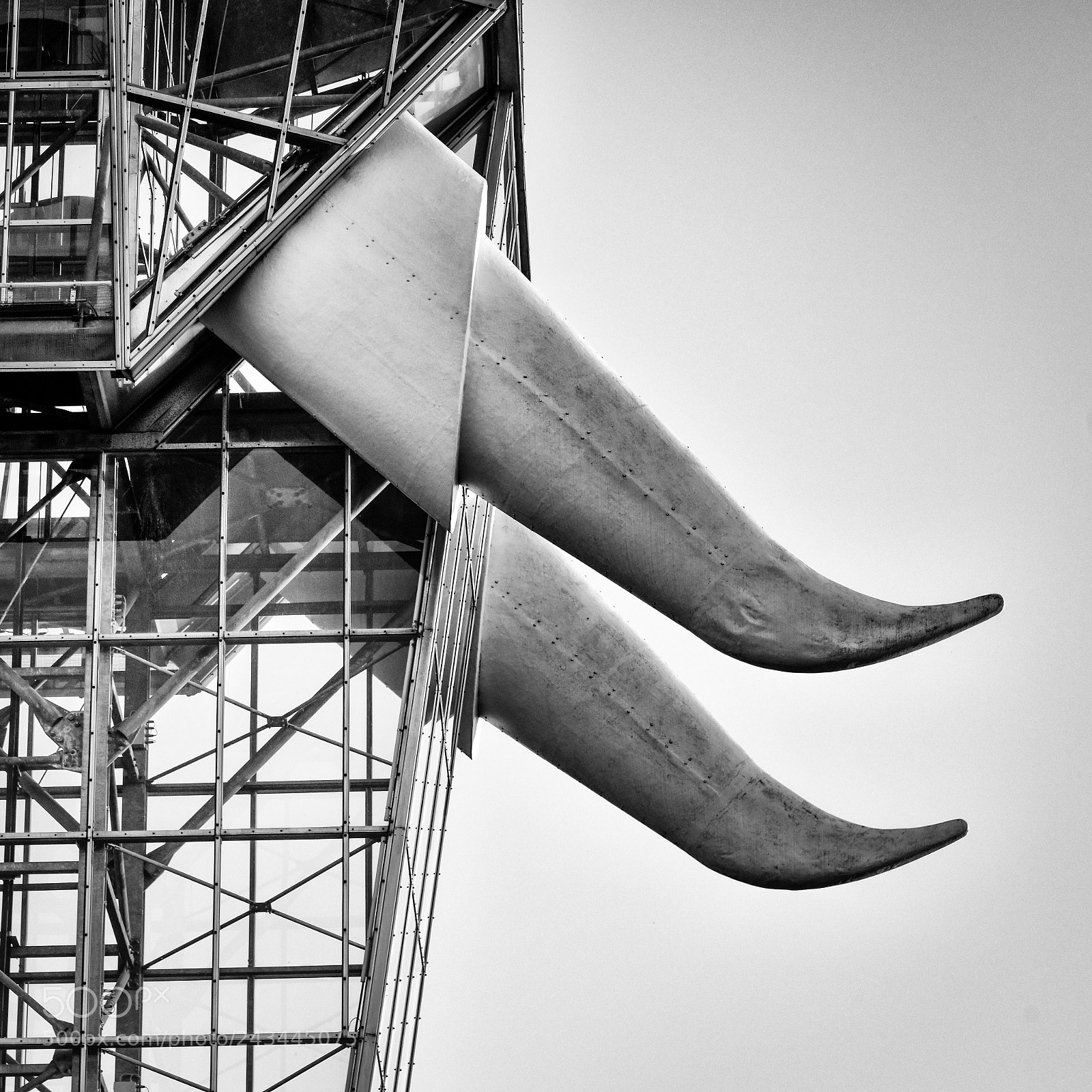 Nikon D810 sample photo. The big glass elephant photography