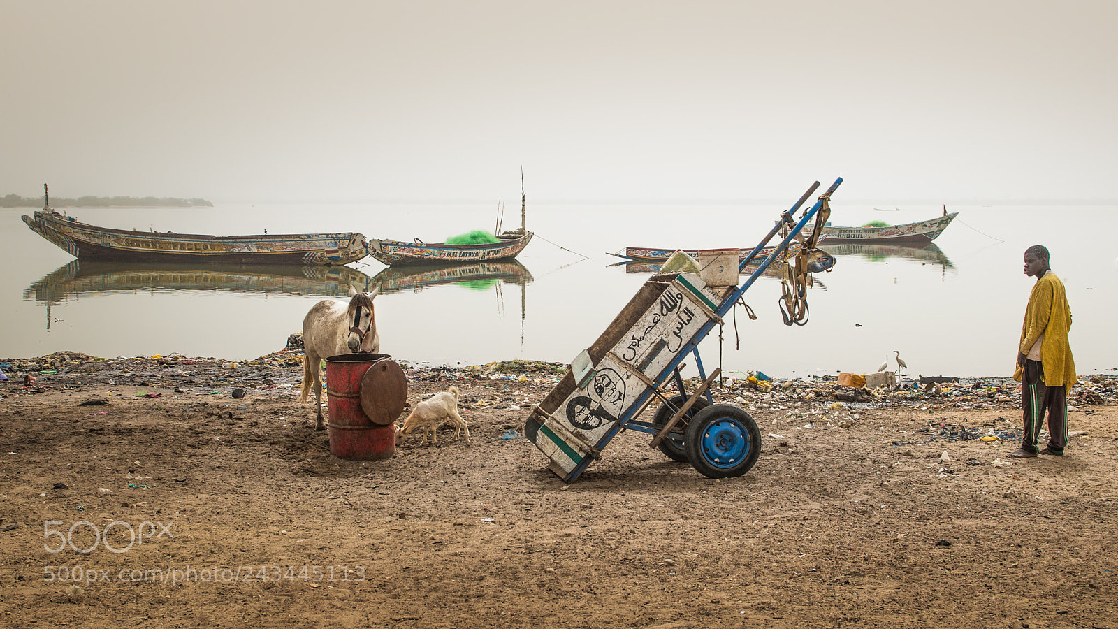 Nikon D800 sample photo. Senegal river banks photography