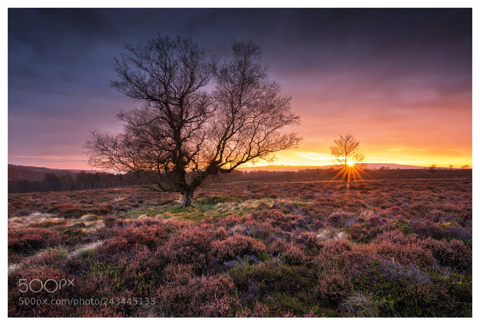 Nikon D810 sample photo. Autumn sunset photography