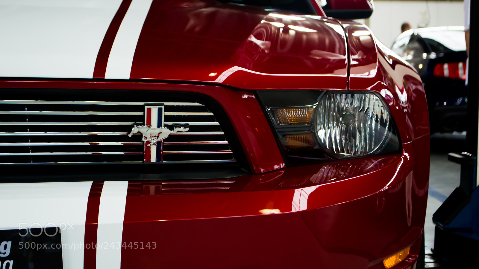 Nikon D3100 sample photo. Mustang gt california special photography