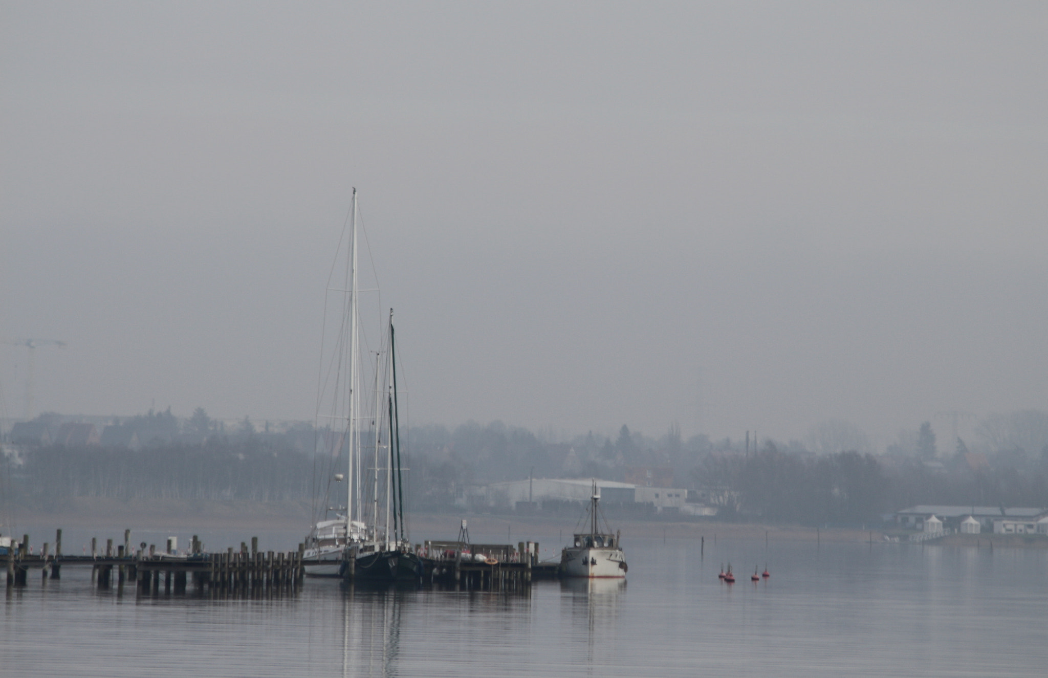 Canon EF 75-300mm F4.0-5.6 IS USM sample photo. Fog photography