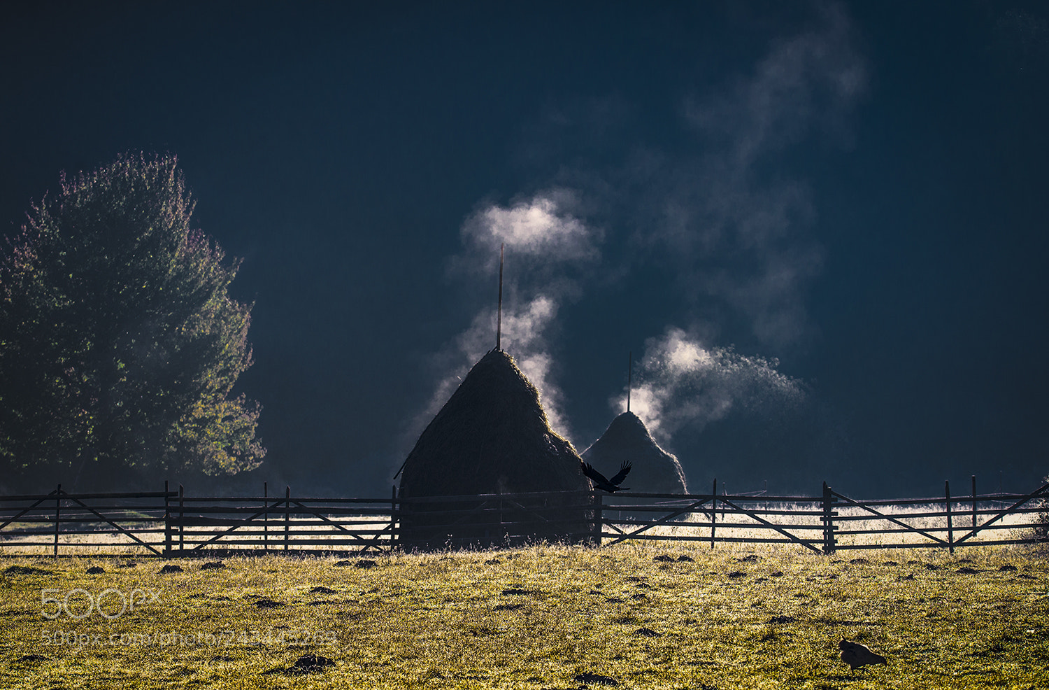 Nikon D610 sample photo. Steamy photography