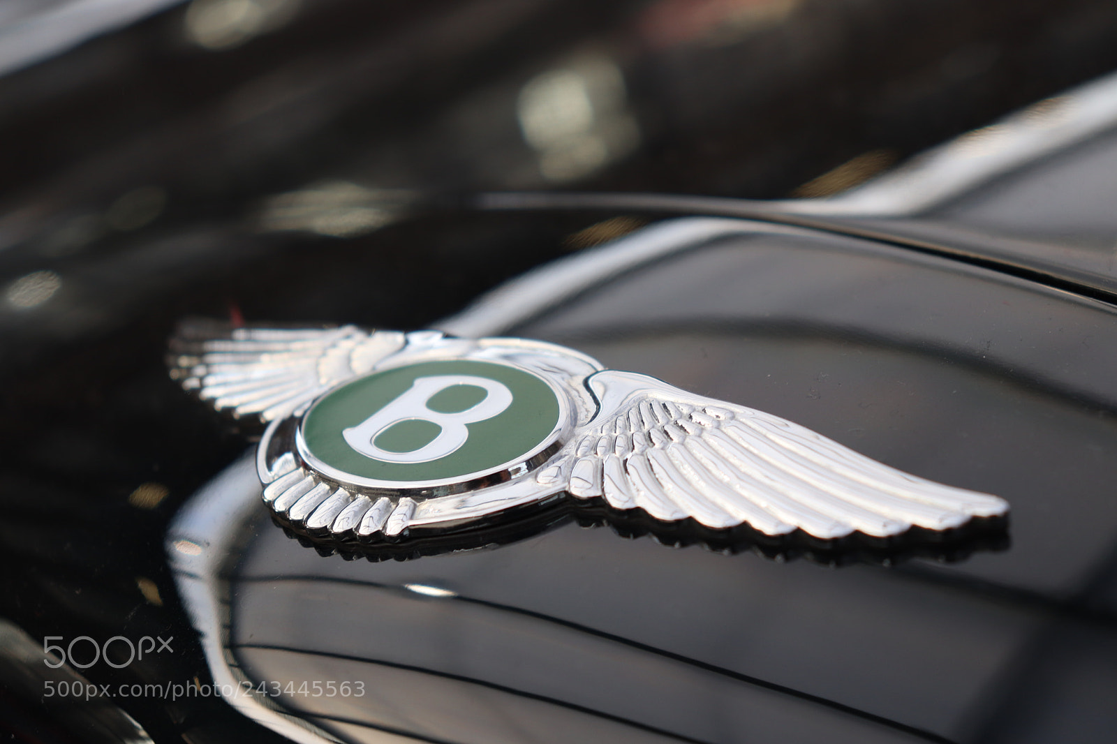 Canon EOS 200D (EOS Rebel SL2 / EOS Kiss X9) sample photo. Bentley photography