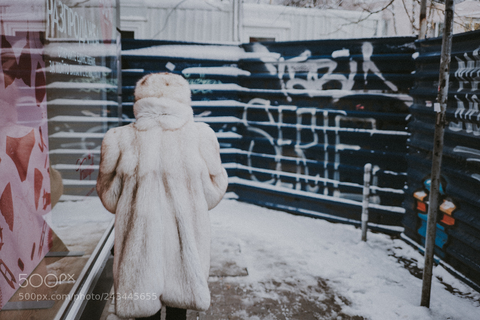 Sony a7R II sample photo. Winter in colors photography