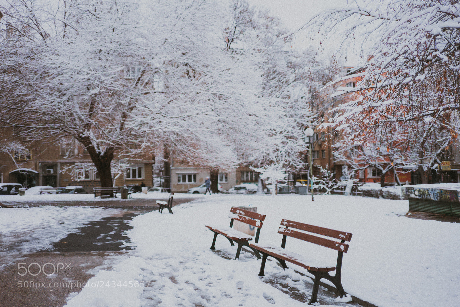 Sony a7R II sample photo. Winter in colors photography