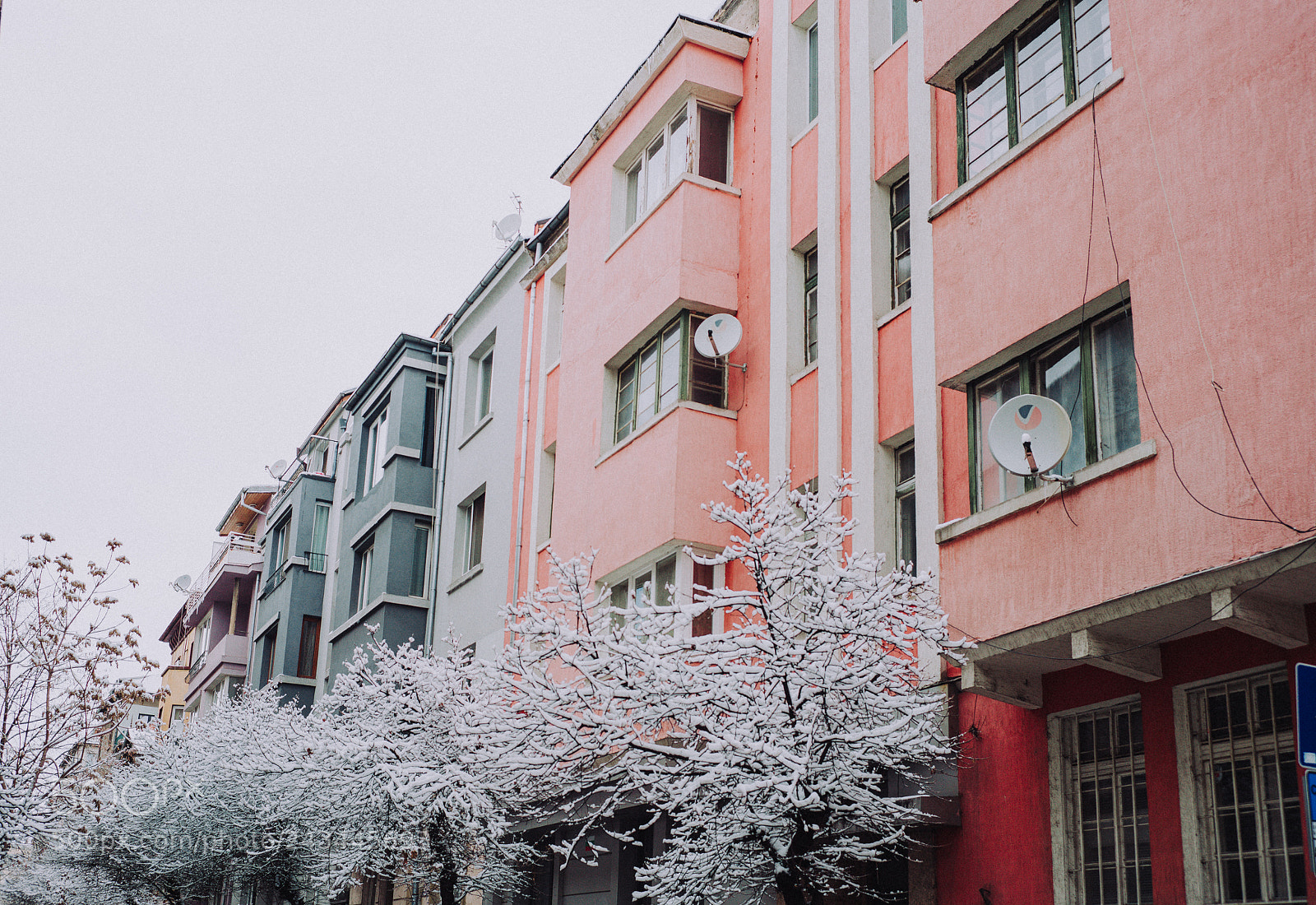 Sony a7R II sample photo. Winter in colors photography