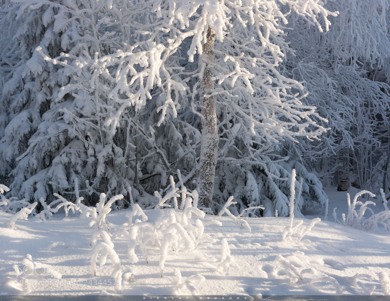 Nikon D7100 sample photo. Winter etude 0230_0231 photography