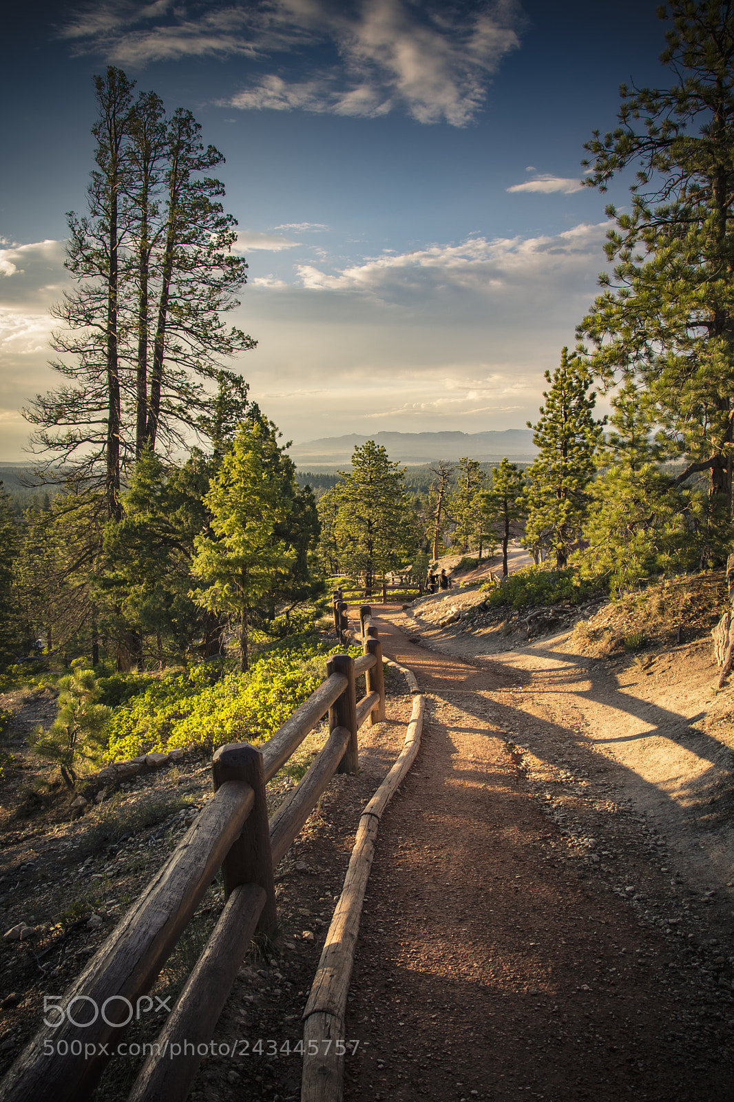 Nikon D7100 sample photo. Walk in the bryce photography