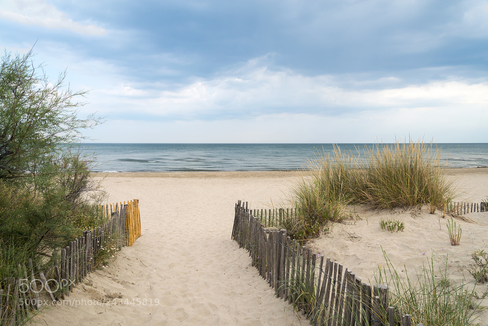 Nikon D800 sample photo. Beach near montpellier (france) photography