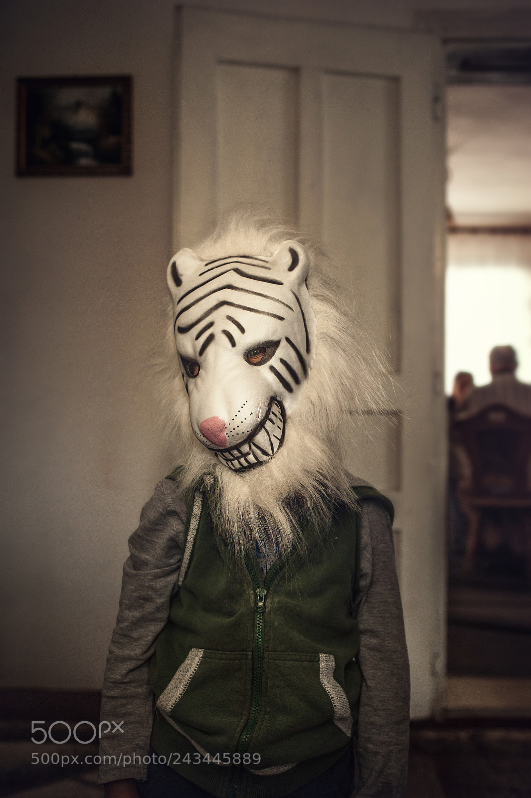 Nikon D700 sample photo. Tiger boy photography