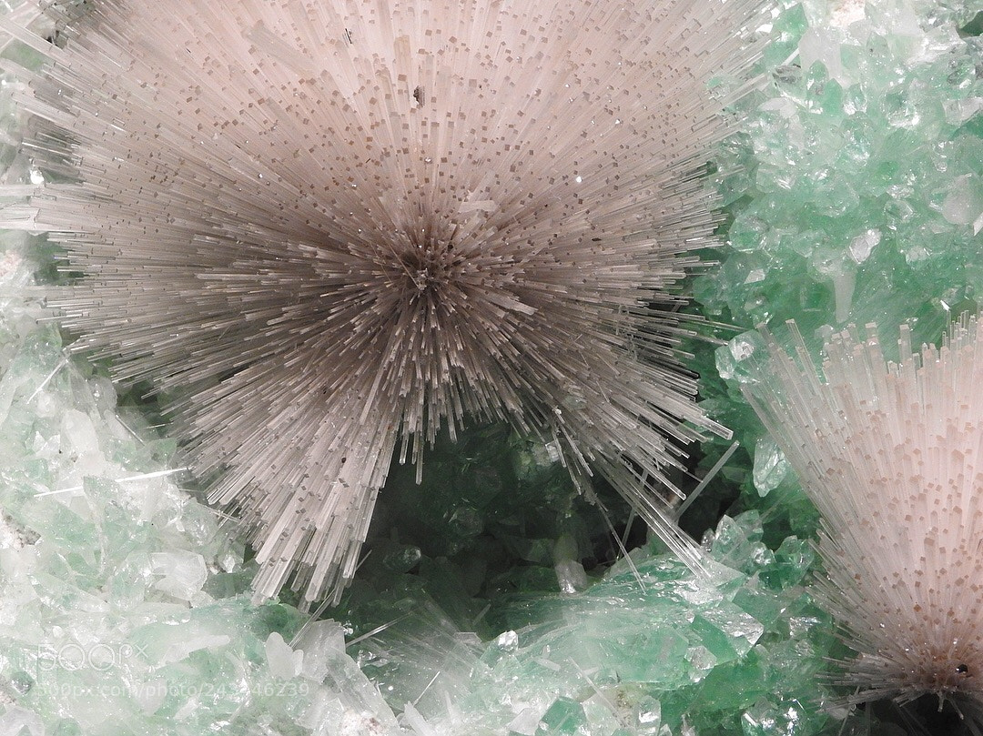 Nikon Coolpix P900 sample photo. Spiky zeolite photography