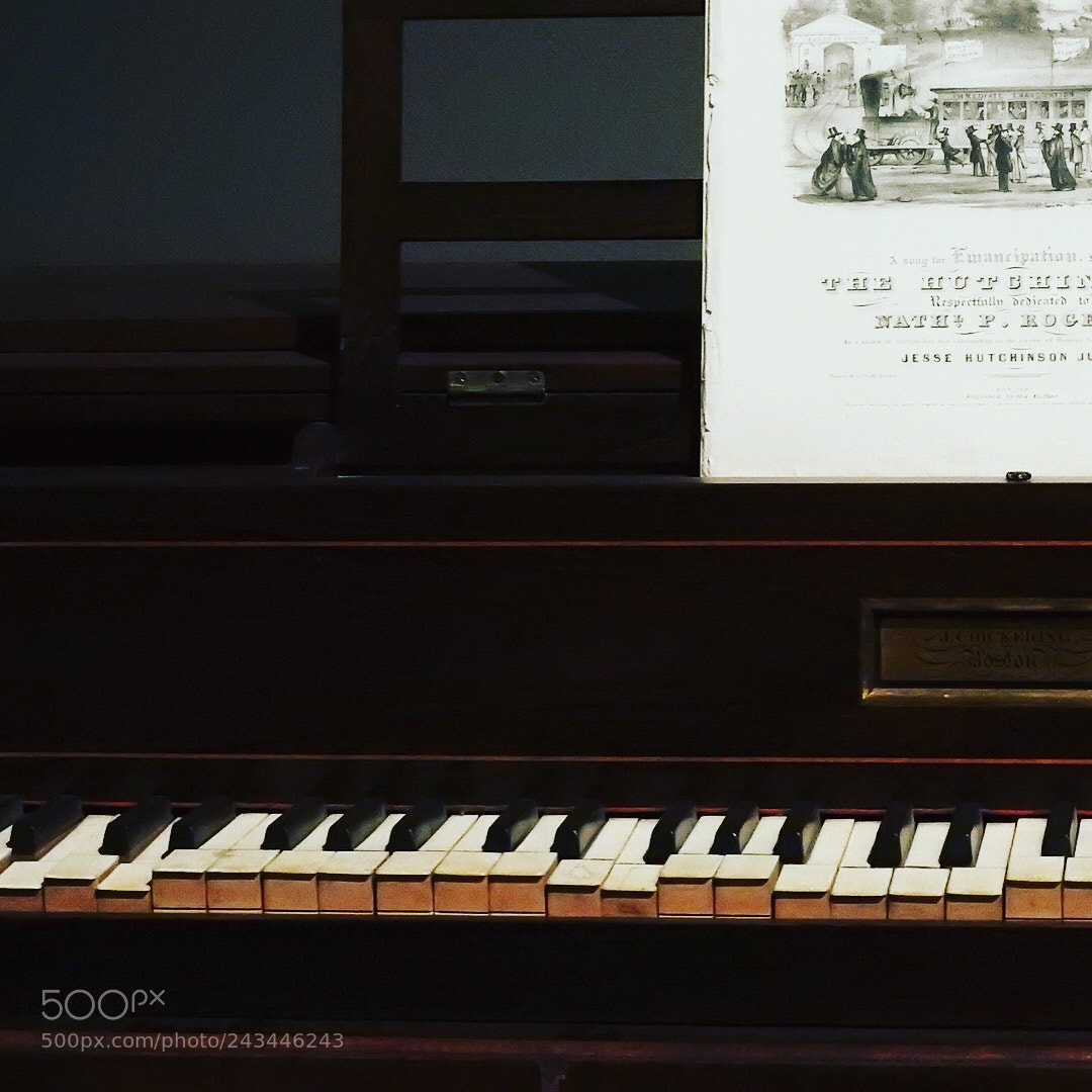 Nikon Coolpix P900 sample photo. Piano playing 'freedom' forever photography