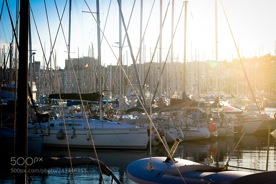 Canon EOS 20D sample photo. Palma de mallorca photography
