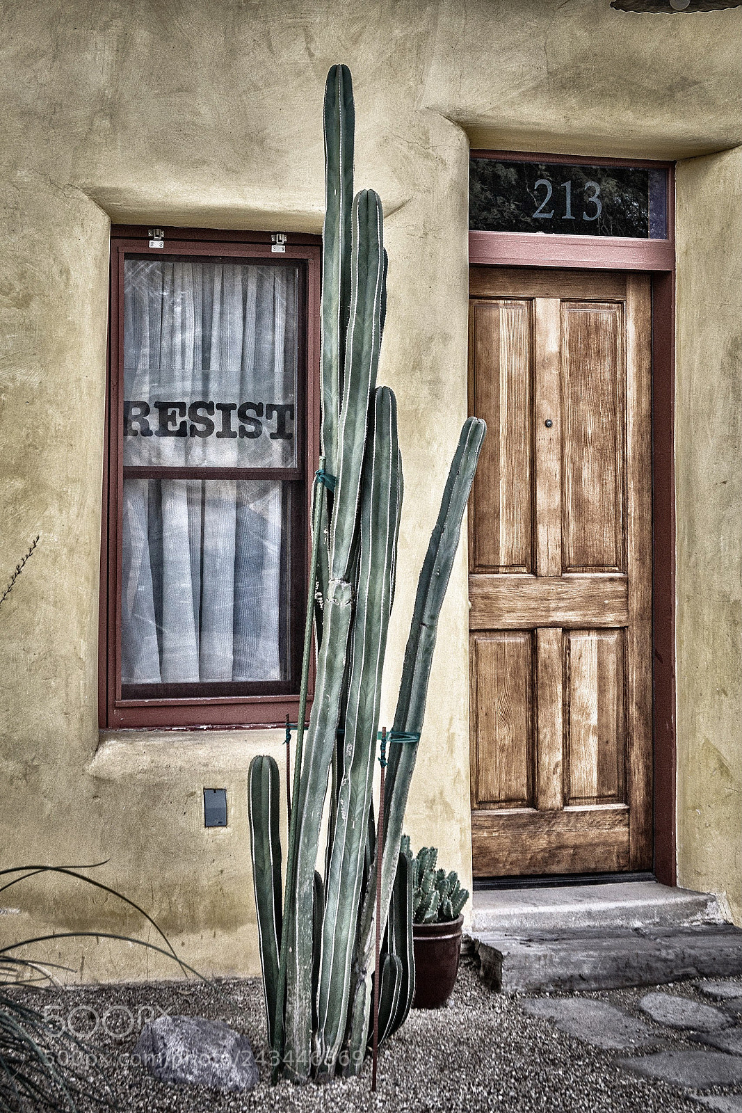 Canon EOS 7D Mark II sample photo. Resist photography