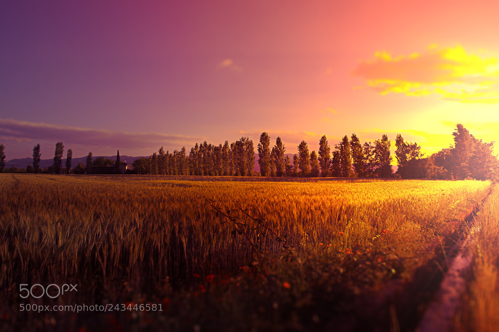 Nikon D7200 sample photo. Sunset photography
