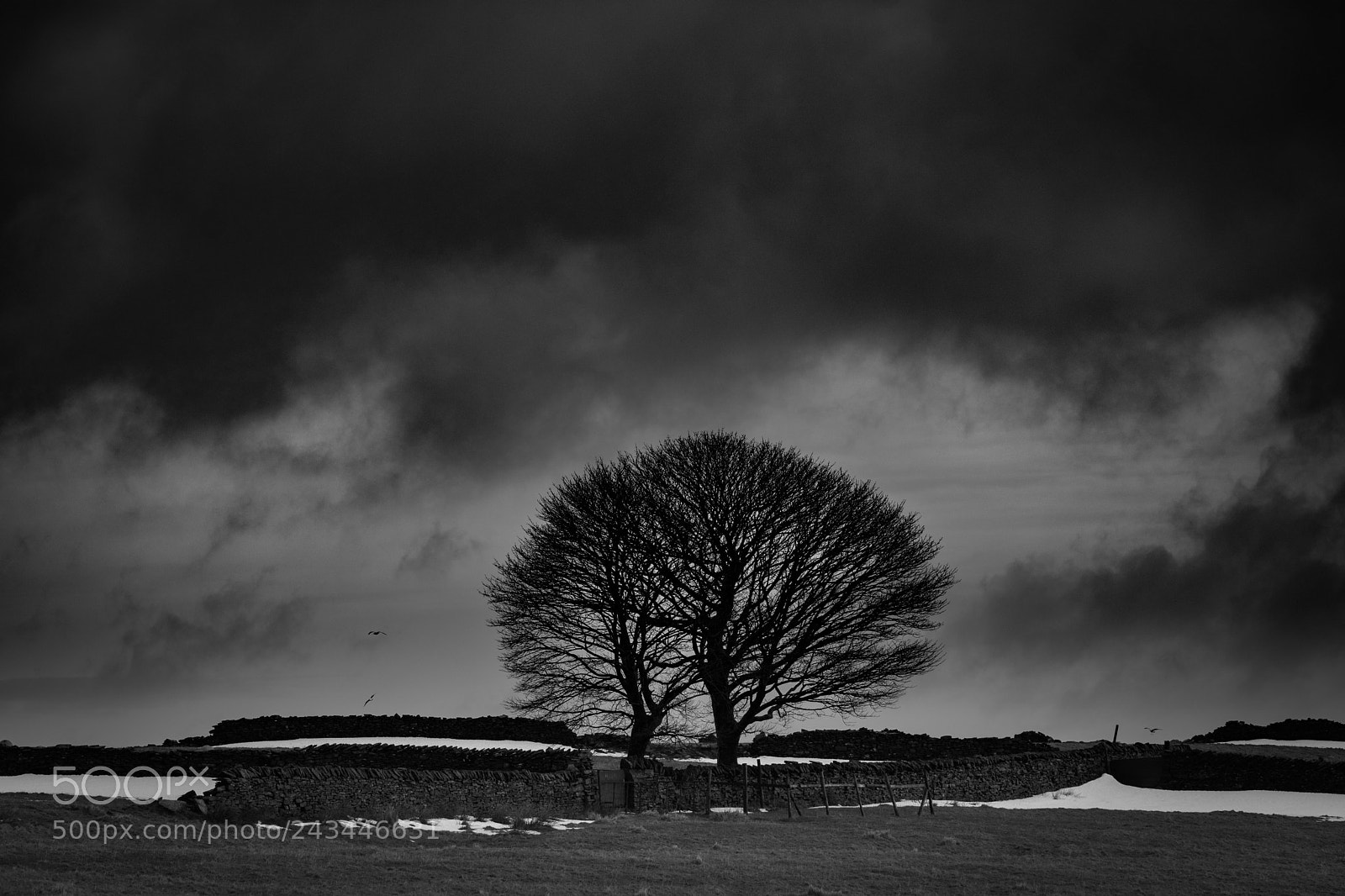 Nikon D7200 sample photo. Winter trees, near digley photography