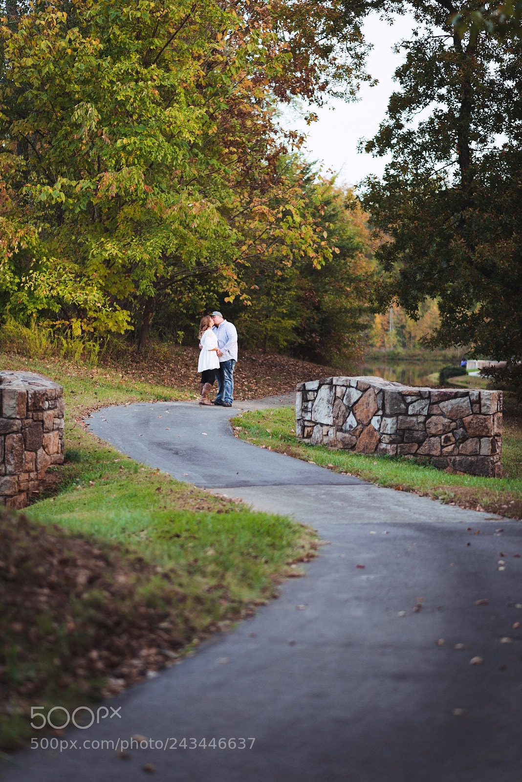 Nikon D810 sample photo. Love's a walk in photography