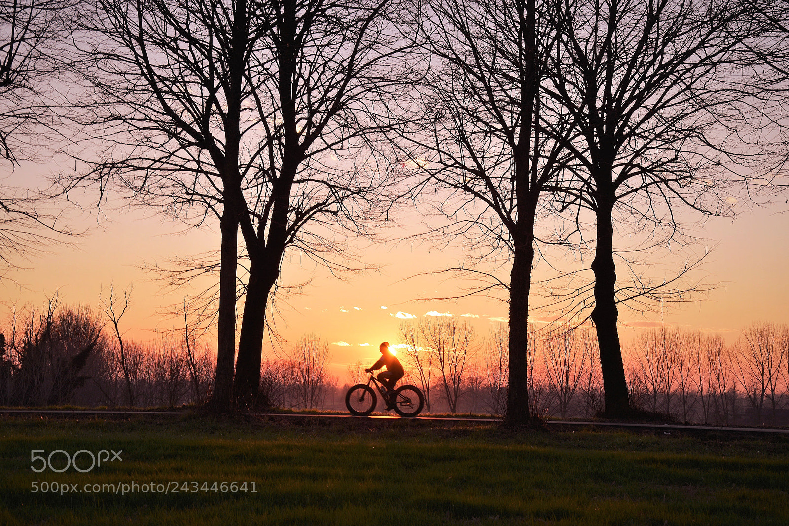 Nikon D5500 sample photo. In the sunset photography
