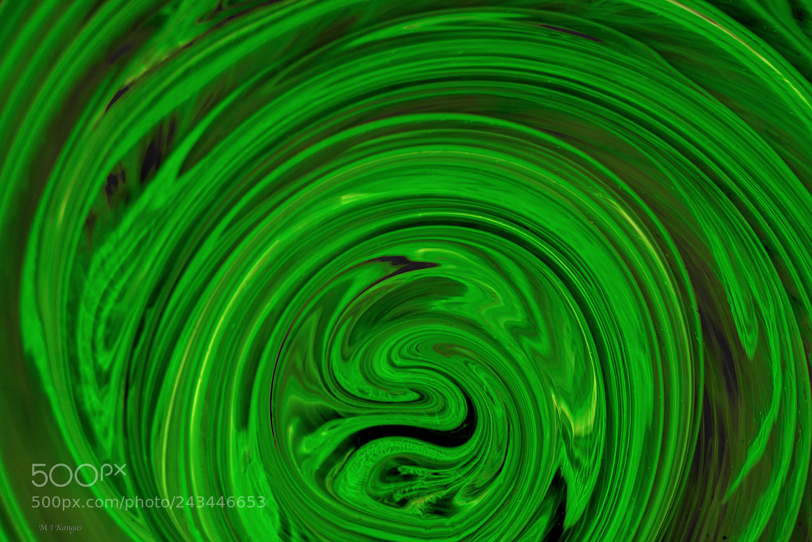 Nikon D610 sample photo. Green swirl photography