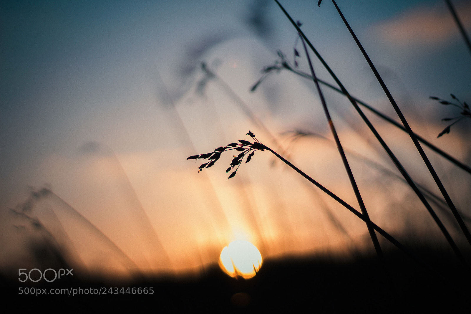Canon EOS 100D (EOS Rebel SL1 / EOS Kiss X7) sample photo. Before sunset photography