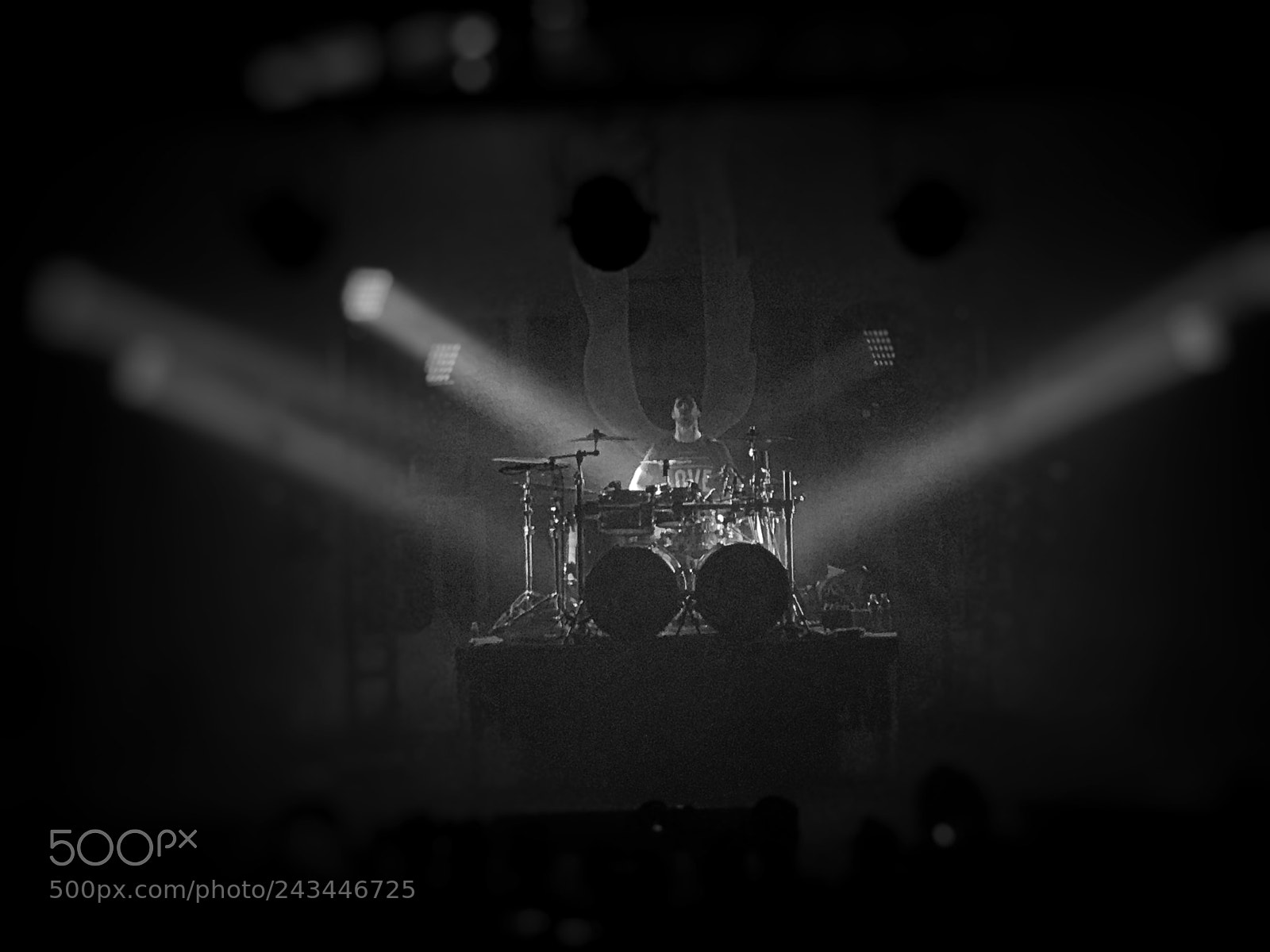 Apple iPhone 7 Plus sample photo. August burns red portland photography
