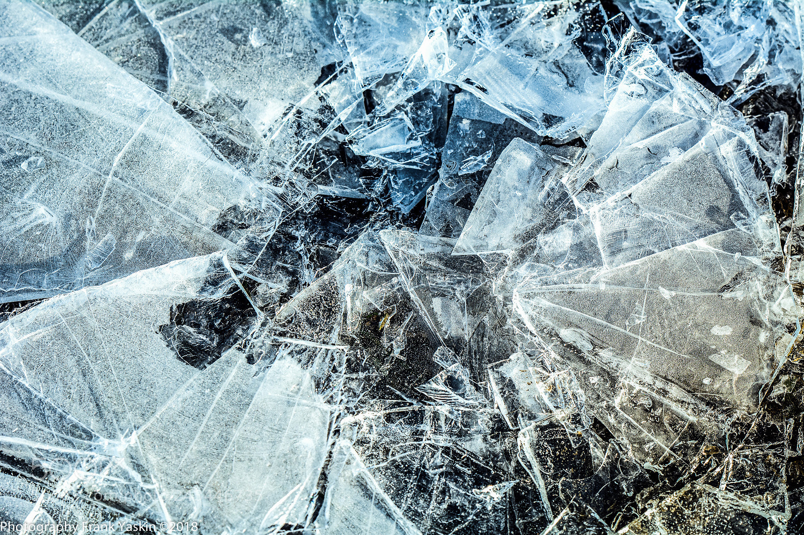 Nikon D7100 sample photo. Iced3 photography