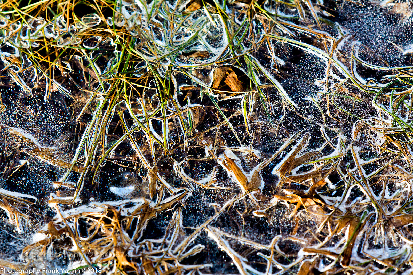 Nikon D7100 sample photo. Ic2ed photography