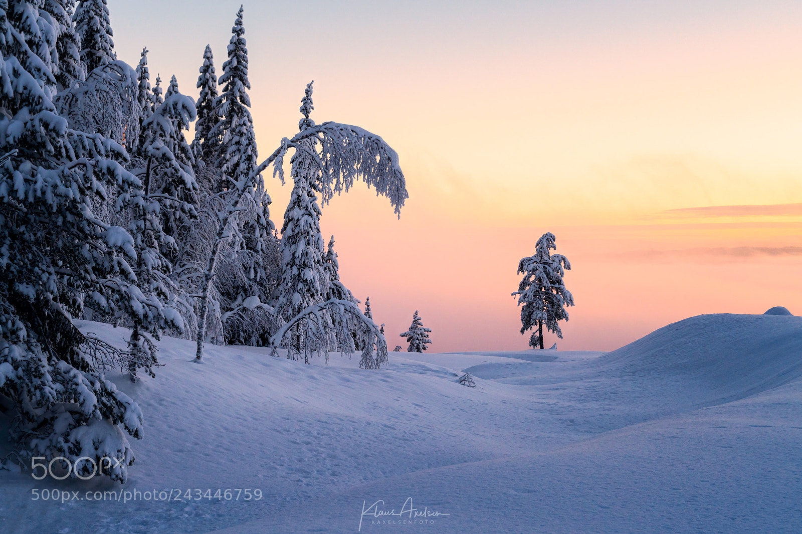Sony a7R II sample photo. "cold beauty" photography