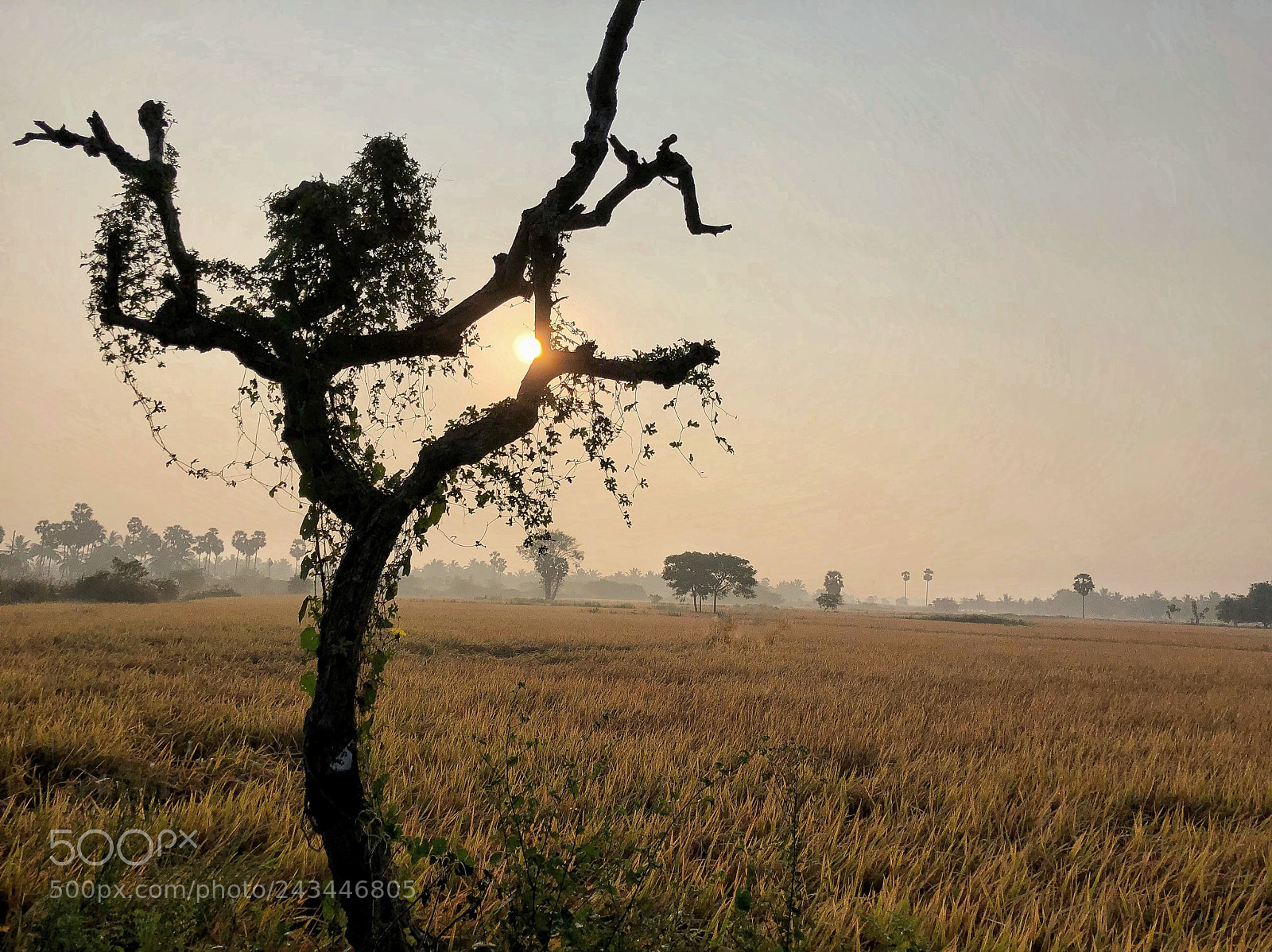 Apple iPhone X sample photo. Landscape photography photography