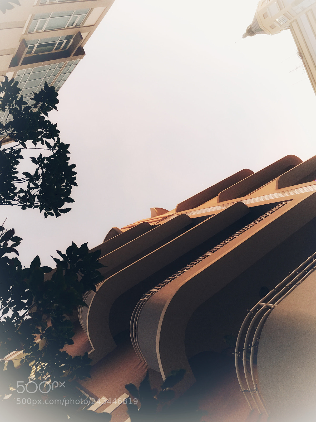 Apple iPhone 6s sample photo. Untitled photography